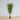 Plante artificielle en bambou coréen Ceja (plusieurs tailles) 