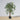 Yali Artificial Ficus Potted Plant 4'