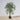 Yali Artificial Ficus Potted Plant 4'