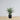 Plante artificielle en pot Tunja Century (plusieurs tailles)