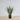 Tunja Artificial Century Potted Plant (Multiple Sizes)