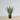 Plante artificielle en pot Tunja Century (plusieurs tailles)