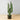 Cactus artificiel Kara en pot 30''