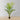 Kentia Artificial King Palm Potted Plant 5'