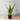 Plante artificielle en pot Leti Snake Sansevieria 21'' 