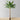 Leya Artificial Banana Tree Potted Plant 10'