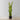 Plante artificielle en pot Luna Snake Sansevieria jaune et verte (plusieurs tailles) 