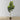 Plante artificielle en pot Mila (plusieurs tailles) 