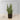 Plante artificielle en pot Milo (sansevieria serpent vert foncé) (plusieurs tailles) 