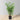 Mosi Artificial Korea Bamboo Potted Plant 31''