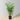 Plante artificielle en bambou de Corée Mosi en pot 31''