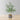 Madero Potted Faux Olive Plant
