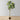 Nero Artificial Rubber Potted Plant 5'