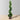 Norwich Faux Potted Spiral Boxwood Topiary Plant 48''