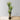 Oca Artificial Century Potted Plant 63''