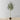 Oli Artificial Olive Tree Potted Plant (Multiple Sizes)