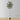 Olidia Artificial Olive Tree 10'