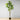 Piña Artificial Fiddle Leaf Potted Plant 5'