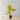 Pinto Artificial Crotons Potted Plant 22"