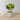 Panuco Potted Faux Fiddle Plant