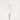 Bouquet d'orchidées blanches artificielles Zuna 42'' x 12'' (lot de 6)
