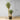 Plante artificielle en pot Remi Aloe Tree 3'