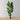Reyna Artificial Travellers Palm Tree Potted Plant 10'