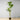 Plante artificielle en pot Samy Dracaena Fragrans 51''