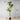 Plante artificielle en pot Samy Dracaena Fragrans 51''