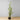 Solo Artificial Cactus Potted Plant 41''