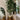 Plante artificielle en pot Ficus Tarso 6'