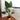 Plante artificielle en pot style Boho, oiseau de paradis, 43 pouces
