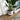 Zamora Cement Planter (Multiple Sizes)