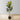 Plante artificielle en caoutchouc Vero en pot 39''