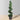 Plante topiaire en buis spiralé artificiel Wells (plusieurs tailles)