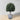 Plante topiaire en faux cèdre Kingston en pot 24''