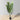 OKO FAUX POTTED PALM TREE PLANT 5'