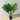 PLANTE EN POT DE PALMIER ARTIFICIEL KIRU 3'