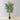 Xelo Artificial Hawaii Kwai Palm Tree Potted Plant (Multiple Sizes)