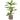 Ximena Water Hyacinth Planter