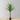Yara Artificial Aloe Potted Plant 51"