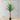 Yara Artificial Aloe Potted Plant 51"
