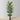 Zane Artificial Palm Tree Potted Plant 10'