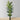 Zane Artificial Palm Tree Potted Plant 10'