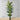 Zane Artificial Palm Tree Potted Plant 10'