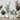 Collection de vases blancs